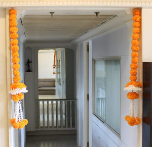 Marigold Hanging Pair