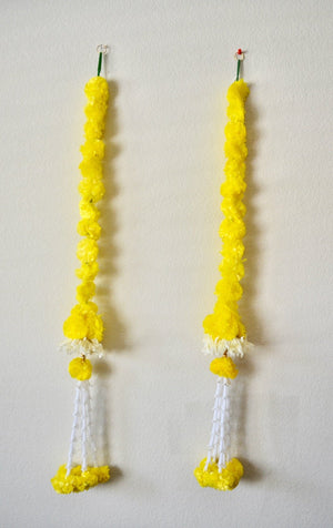 Marigold Hanging Pair